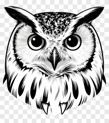 Black And White Owl Illustration PNG