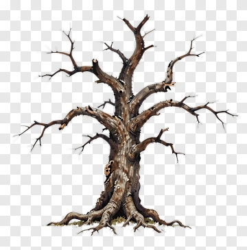 Dead Tree With Twisted Branches PNG
