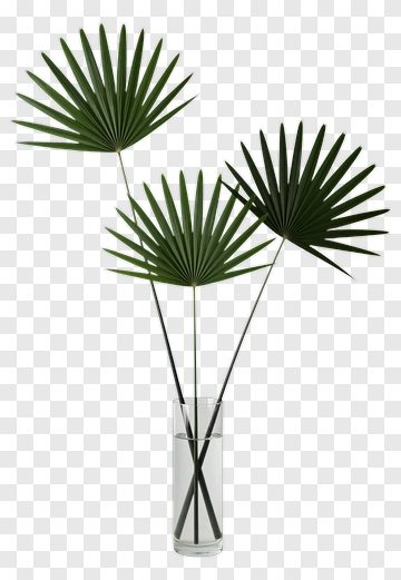 Green Palm Leaves In A Vase PNG