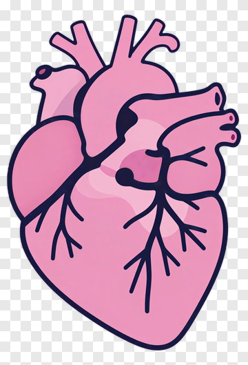 Cartoon Heart Illustration PNG