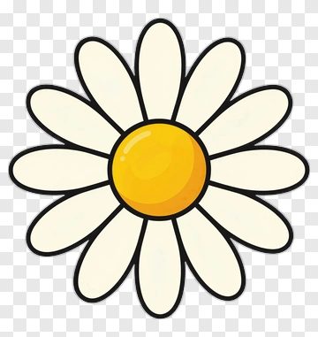 Cartoon Daisy Flower PNG
