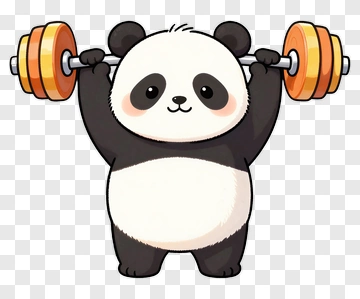 Cartoon Panda Lifting Weights PNG