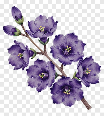 Purple Flower Branch PNG