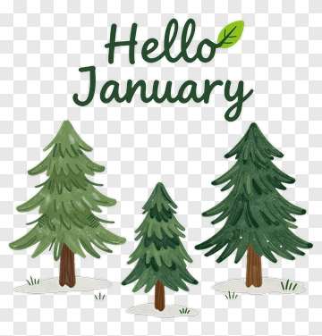 Hello January With Colorful Trees PNG