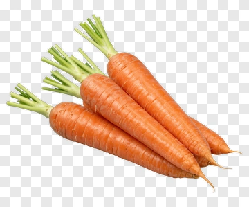 Fresh Carrots PNG