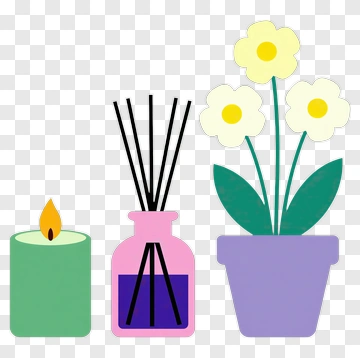 Decorative Candle, Diffuser, And Potted Flowers PNG