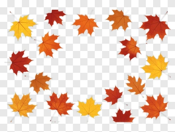 Colorful Autumn Leaves Arrangement PNG