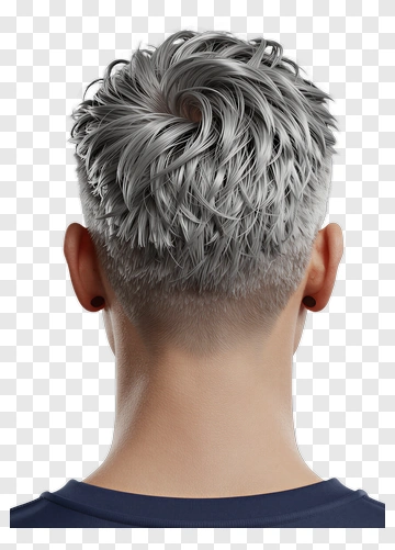 Short Gray Hair Back View PNG