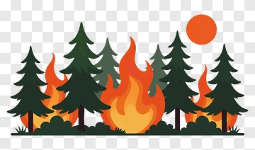 Forest Fire With Flames And Sun PNG