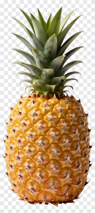 Fresh Pineapple PNG