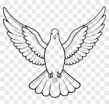 Cartoon Dove With Outstretched Wings PNG