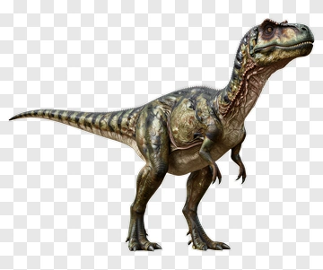Realistic Tyrannosaurus Rex Dinosaur PNG