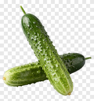 Fresh Cucumbers PNG