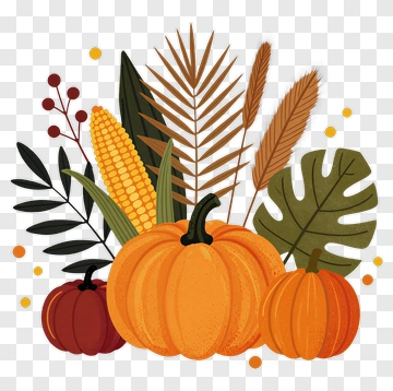 Autumn Pumpkin Arrangement With Leaves And Corn PNG