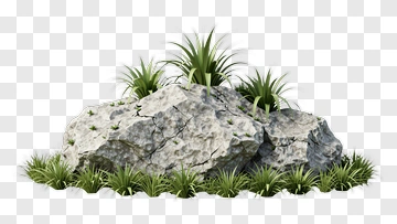 Rock Formation With Grass And Plants PNG