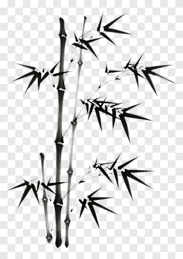 Black Bamboo Plant PNG