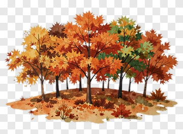 Colorful Autumn Trees In A Forest PNG