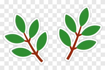 Green Leaf Branches PNG