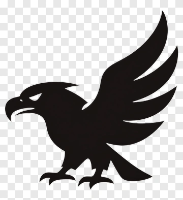 Black Hawk With Spreading Wings PNG