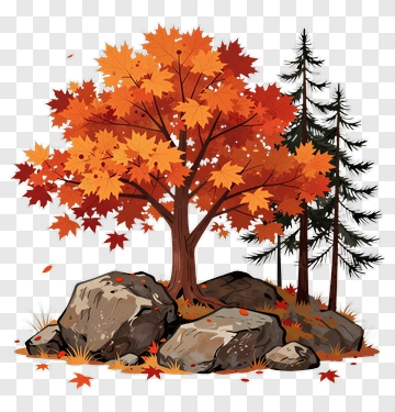 Colorful Autumn Tree With Rocks PNG