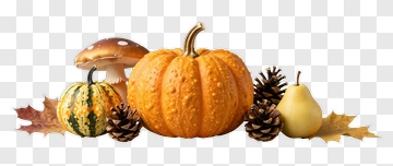 Autumn Pumpkin With Pine Cones And Mushrooms PNG