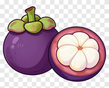 Cartoon Mangosteen Fruit Illustration PNG