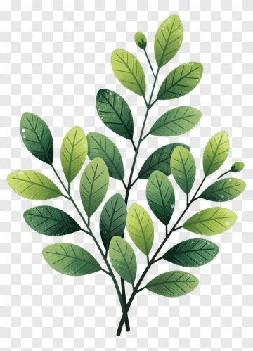 Green Leafy Branch PNG
