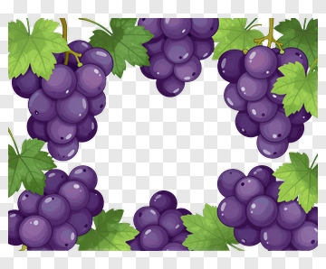 Colorful Grapes With Leaves PNG