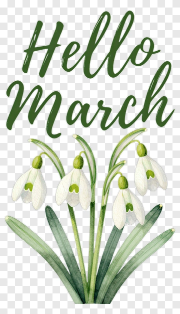 Hello March With Snowdrop Flowers PNG