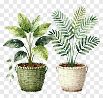 Watercolor Potted Plants PNG