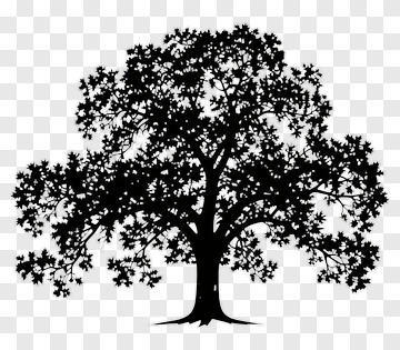 Silhouette Tree PNG