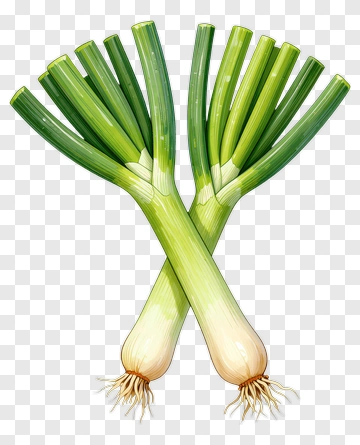 Bunch Of Green Onions PNG