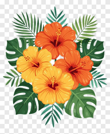 Colorful Hibiscus Flower Bouquet PNG