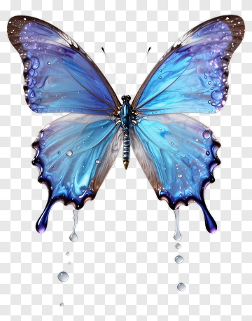 Colorful Butterfly With Blue And Purple Wings PNG