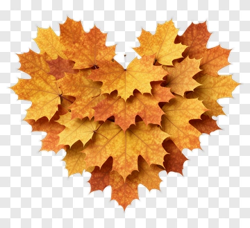 Heart Shaped Composition Of Autumn Leaves PNG