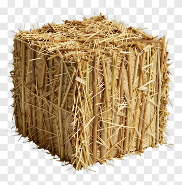 Hay Bale PNG