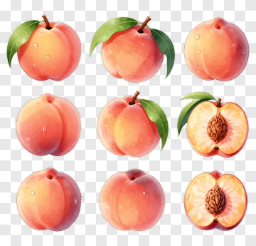 Colorful Peach Illustrations PNG