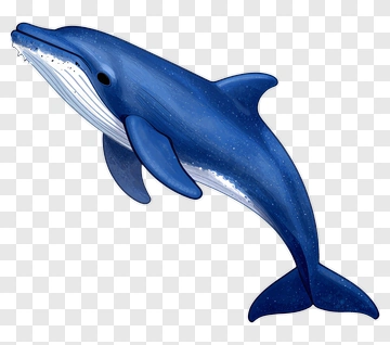 Cartoon Whale Swimming In The Ocean PNG