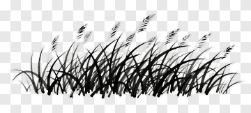 Black Grass Silhouette PNG