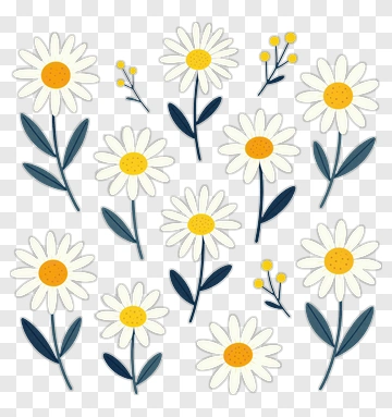 Colorful Daisy Flower Bouquet PNG