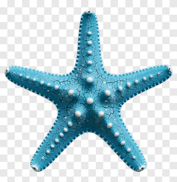 Blue Starfish PNG