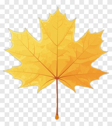 Yellow Maple Leaf PNG