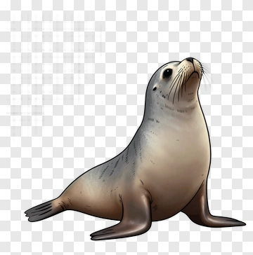 Cartoon Seal PNG