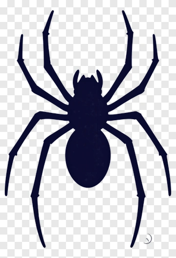 Black Spider Silhouette PNG