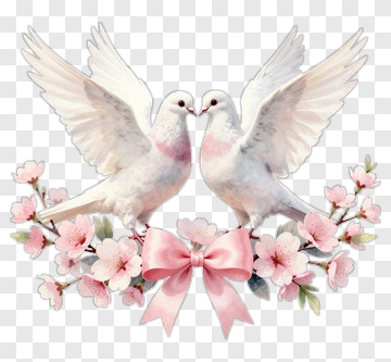 Doves With Pink Flowers And Ribbon PNG