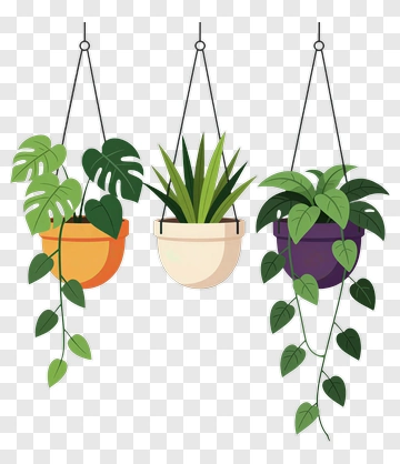 Hanging Plants In Colorful Pots PNG