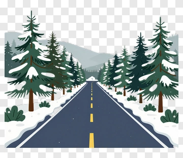 Winter Road Surrounded By Snowy Pine Trees PNG