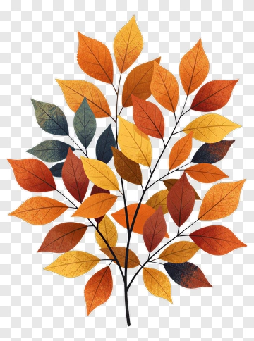 Colorful Autumn Leaves PNG