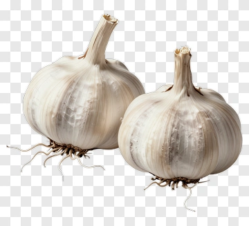 Garlic Bulbs PNG