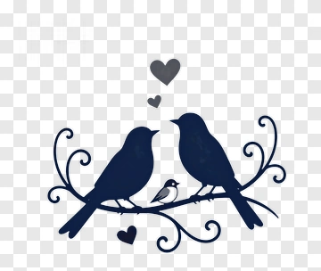 Two Birds On A Branch With Hearts PNG